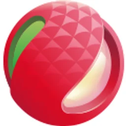 广东文体广播 — China logo