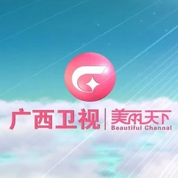 广西卫视伴音 — China לוגו