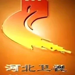 河北卫视伴音 — China logo