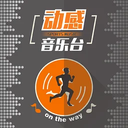 河南网络动感音乐台 — China логотип