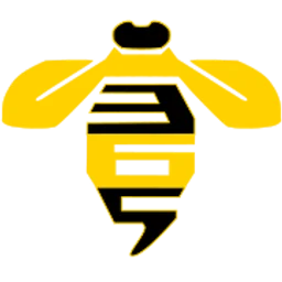 Hive365 — The United States Of America logo