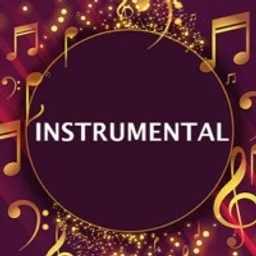 instrumental-music-radio — India logo