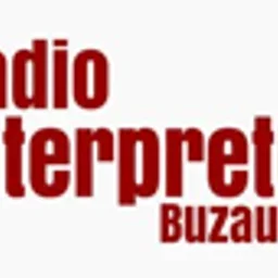 Interpretul Buzău FM -Buzău — Romania logo