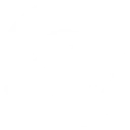 JS 100 — Thailand logo