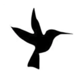 KVNF 90.9 Paonia, CO — The United States Of America logo