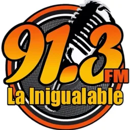 LA INIGUALABLE 91.3 (Amatepec) - 91.3 FM - XHPAMM-FM - Amatepec, Estado de México — Mexico लोगो