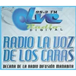 La Voz de los Caras 95.3 FM logo — Ecuador