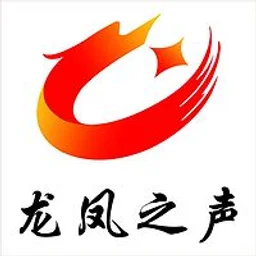 龙山综合广播龙凤之声 — China 标志