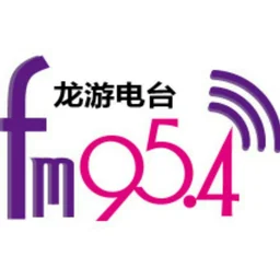 龙游人民广播电台FM95.4 — China 标志