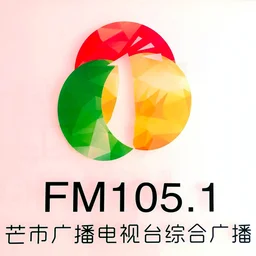 芒市综合广播 — China logo