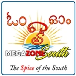 megazonesouth — India logo
