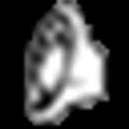 ModFM — Poland شعار