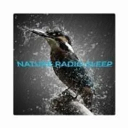 NATURE RADIO SLEEP — Italy logo