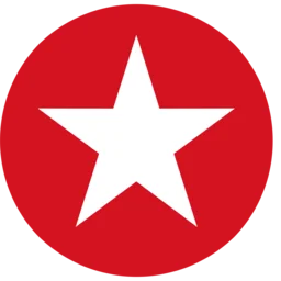 Новое Радио 91.1 (СПб) — The Russian Federation logo