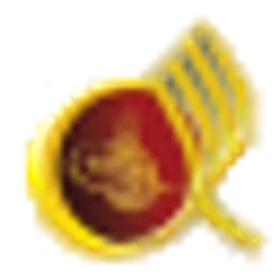 NUR Radyo — Türkiye logo