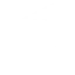 ONLY1 - Electro — Hungary logo
