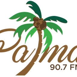 Palma 90.7 FM logo — The Dominican Republic