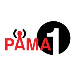 PAMA ONE Radio — The United States Of America logo