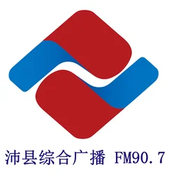沛县综合广播 — China logo