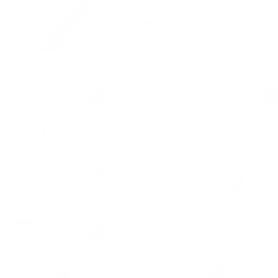 Phoenix Radio Bali 91.00 FM — Indonesia logo
