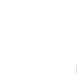 Pizza FM — The United States Of America logo