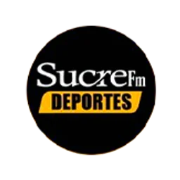 Play FM 95.3 — Ecuador logo