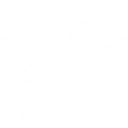 Playloud Radio — France logo