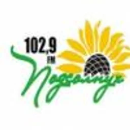 Подсолнух 102.9 FM — The Russian Federation लोगो