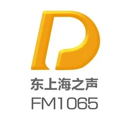 浦东综合广播 东上海之声FM106.5 — China לוגו