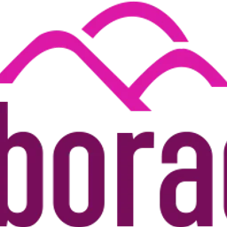 Radio Alborada 106.1 — Chile logo
