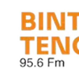 Radio Bintang Tenggara — Indonesia logo