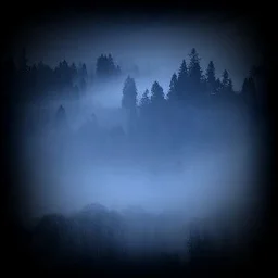 Radio Caprice: Ambient — The Russian Federation लोगो