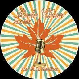 Radio Chinar 90.4FM — India logo