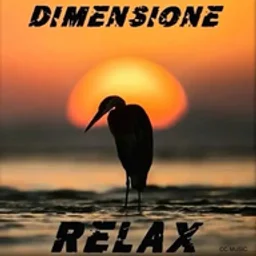 RADIO DIMENSIONE RELAX — Italy logo
