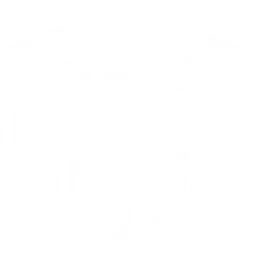 Rádio DNB TV — Czechia logo