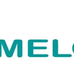 Radio Emmeloord — The Netherlands logo