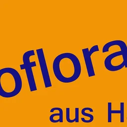 radio flora — Germany logo