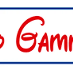 Radio Gamma Stereo — Italy logo