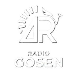 Radio Gosen Romania - Sângeorz-Bai BN — Romania logo