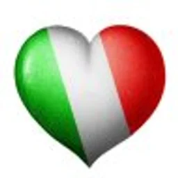 Radio Italo Disco Net — Croatia logo