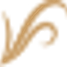 Radio Kamiel — Belgium logo
