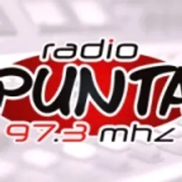 Radio La Punta 97.3 FM — Argentina लोगो