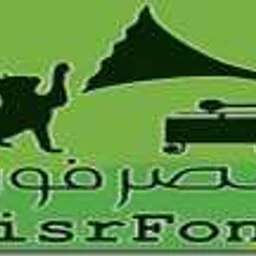 Radio Misrfone — Egypt logo