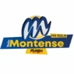 Rádio Montense Flash Minas 102.9 FM — Brazil logo