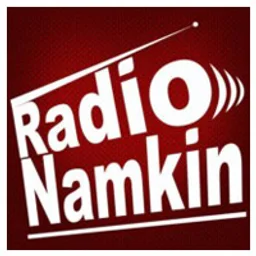 Radio Namkin — India logo