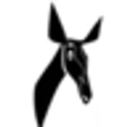 Radio Okapi — The Democratic Republic Of The Congo logo