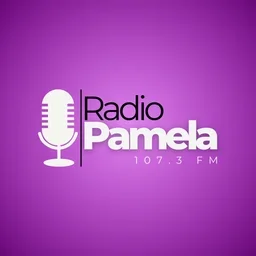Radio Pamela FM 107.3 — Chile logo