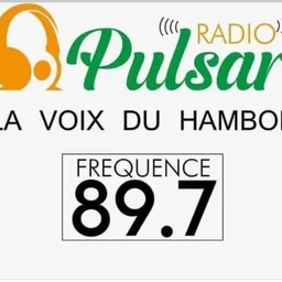 Radio Pulsar Katiola — Coted Ivoire लोगो