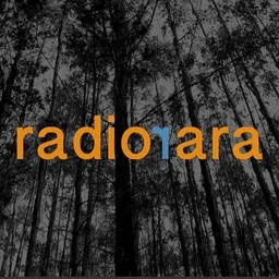 Radio Rara — Chile logo