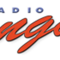 Radio Sangam — The Netherlands logo